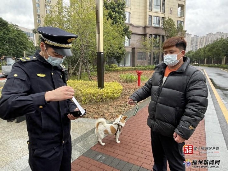 执法行动已开始！福州养犬人注意