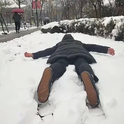 第一次见到雪的猫咪和狗狗比南方小伙伴还夸张网友：太魔性了