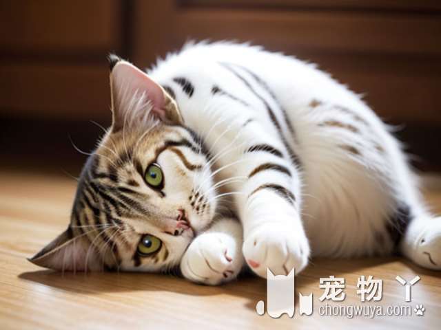 福州咕猫宁宠物生活馆猫舍，环境脏乱差？态度非常差?